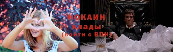 прущие крисы Карпинск