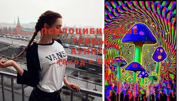 мяу мяу мука Медвежьегорск