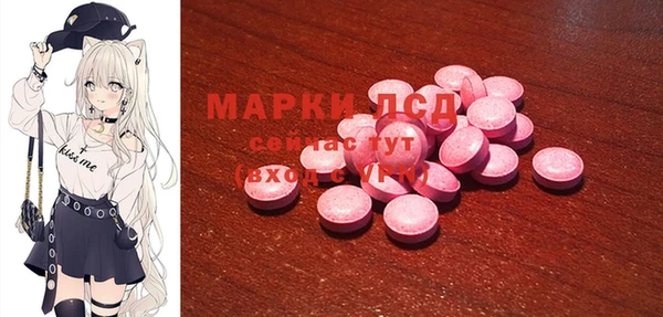 мяу мяу мука Медвежьегорск