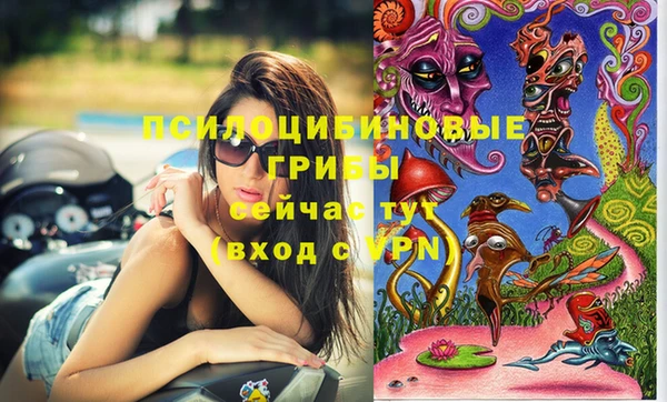 прущая мука Медногорск