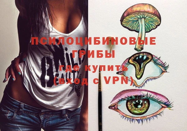 прущие крисы Карпинск