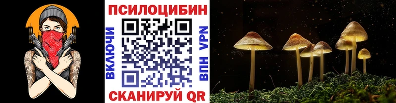 Галлюциногенные грибы Psilocybine cubensis  hydra маркетплейс  Тюмень 