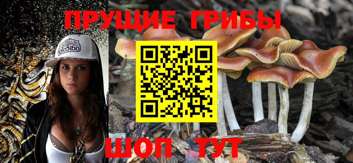 Тюмень  Псилоцибиновые грибы мицелий  Вход с VPN  Галлюциногенные грибы Cubensis 