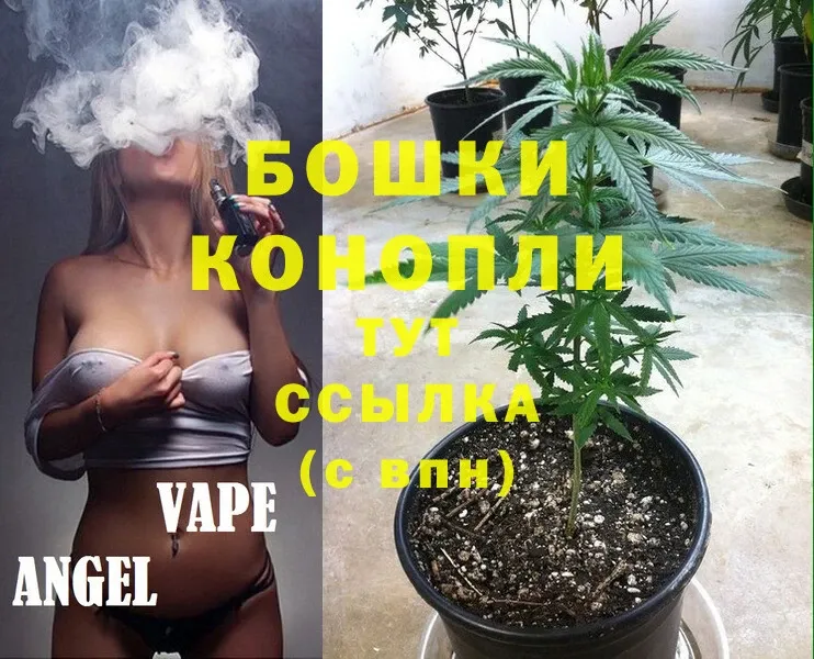 Конопля SATIVA & INDICA  сколько стоит  Тюмень 